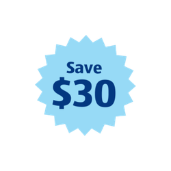 Save $30 on the $289 5G 365 Day Mobile Plan